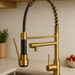 LORENZO HS-D60LG Kitchen Faucets